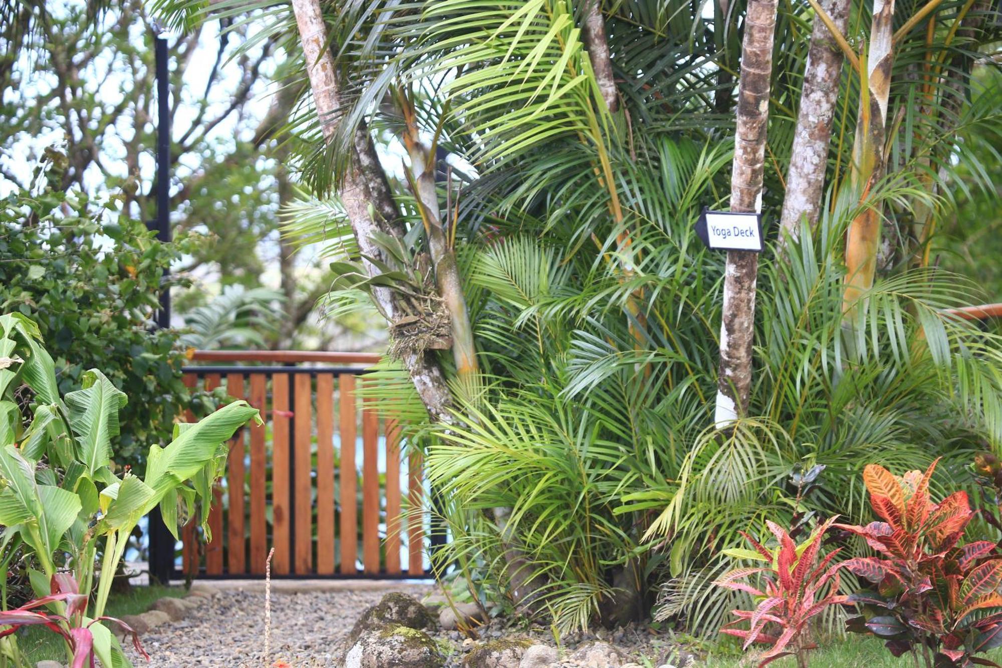 Sueno Rio Celeste Boutique B&B Bujagua Buitenkant foto