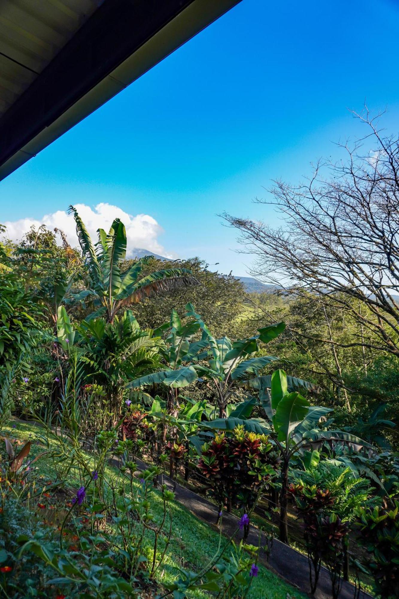 Sueno Rio Celeste Boutique B&B Bujagua Buitenkant foto